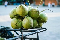 coconut project thumbnail