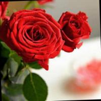 flower project thumbnail