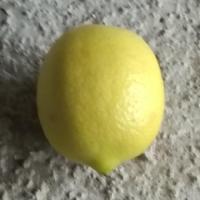 Lemon Detector project thumbnail