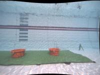sauvc-real-test project thumbnail