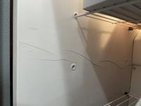 Visual Assessment of Fridge project thumbnail
