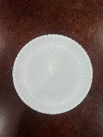 Defect Detection Paper Plates project thumbnail
