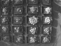 canopy cover project thumbnail