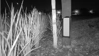 Paddy_water_level project thumbnail