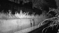 2025_BW project thumbnail