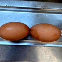 Eggs project thumbnail