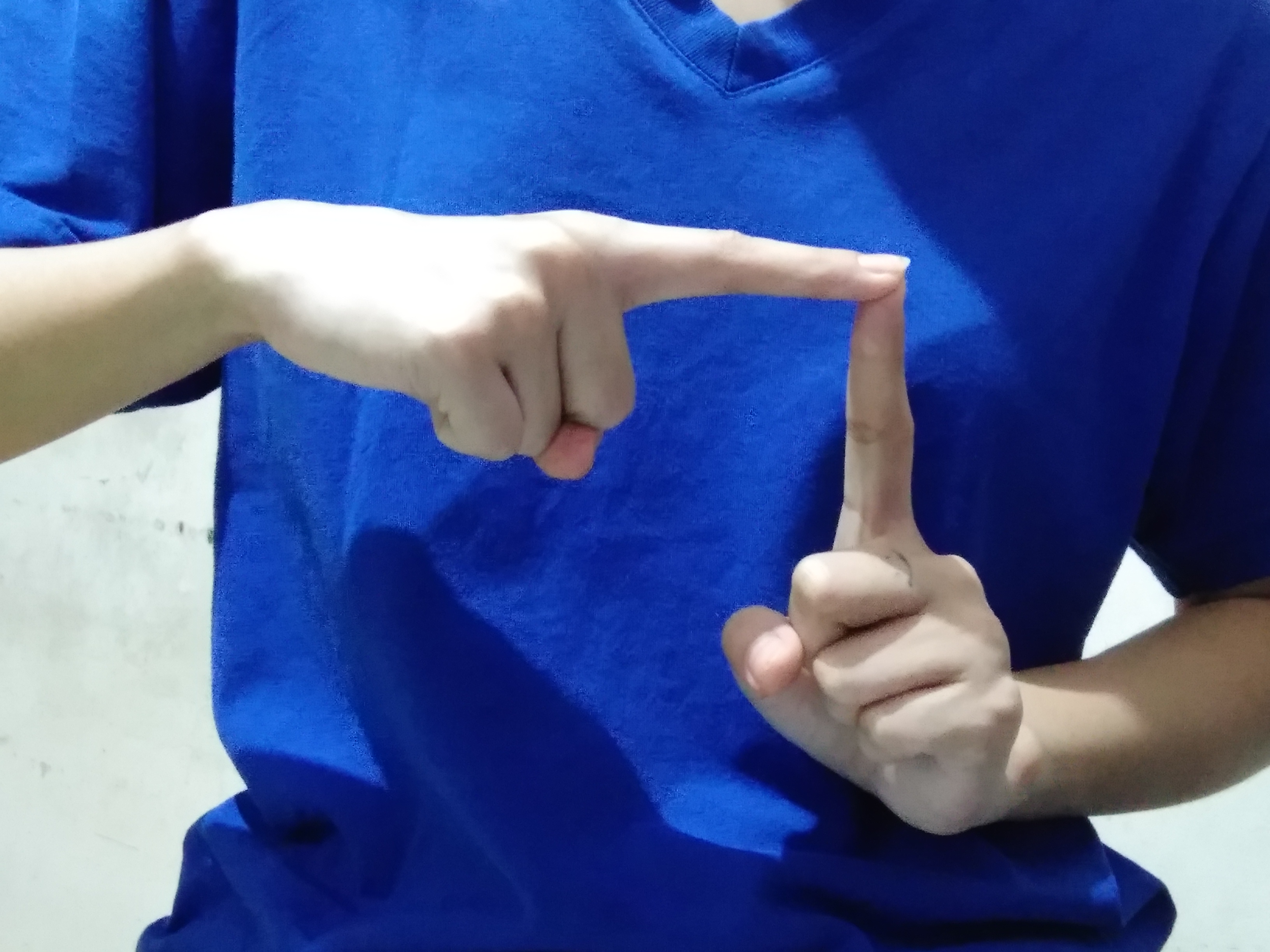 hand sign Object Detection Model by Emotion detection