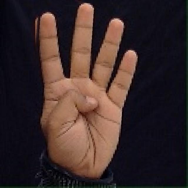 ASL Object Detection Model by Projectone