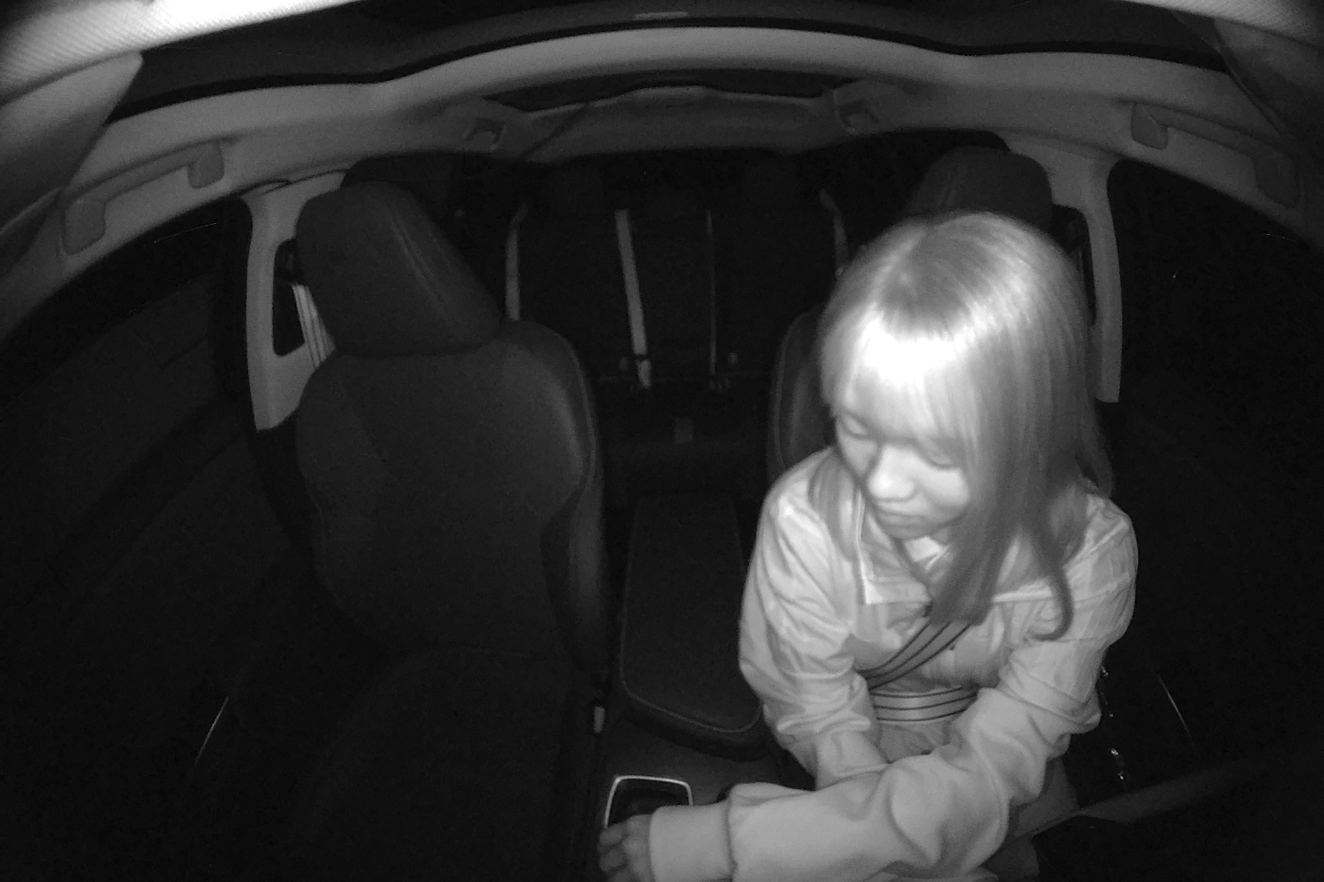 Seatbelt segmentation 6 object detection dataset by yolov8