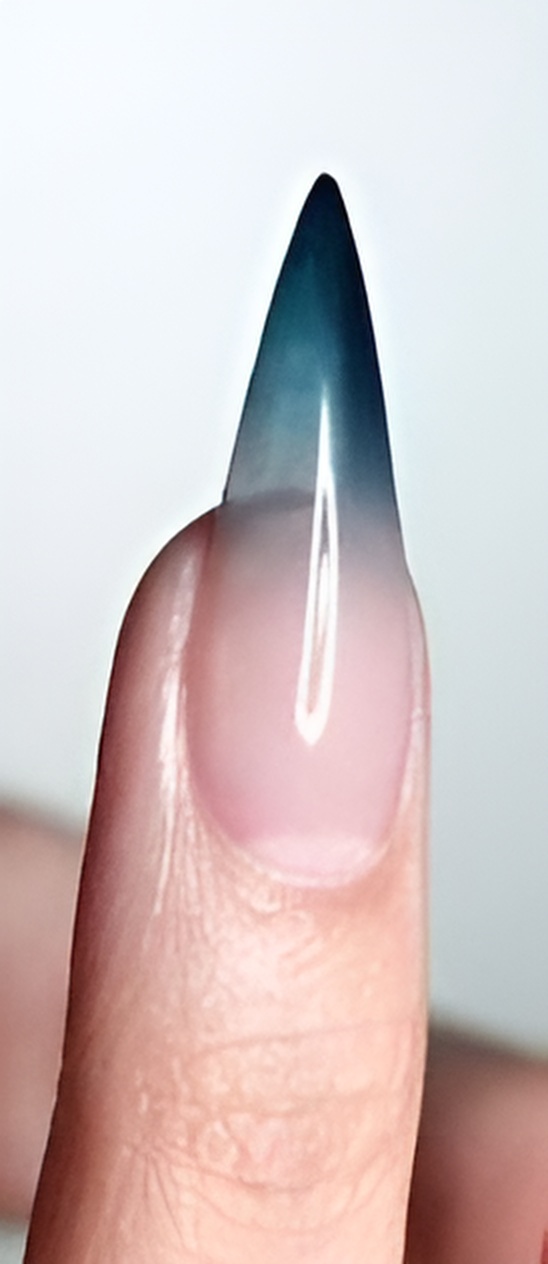Nails Dataset Instance Segmentation Dataset by LY