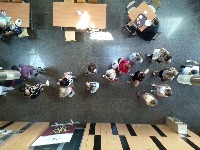 Dataset Image