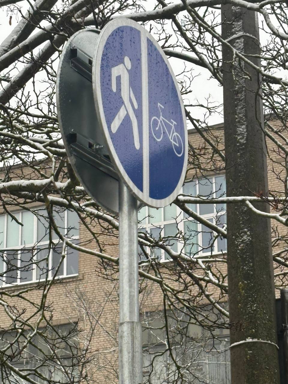 road signs Object Detection Dataset by kkk