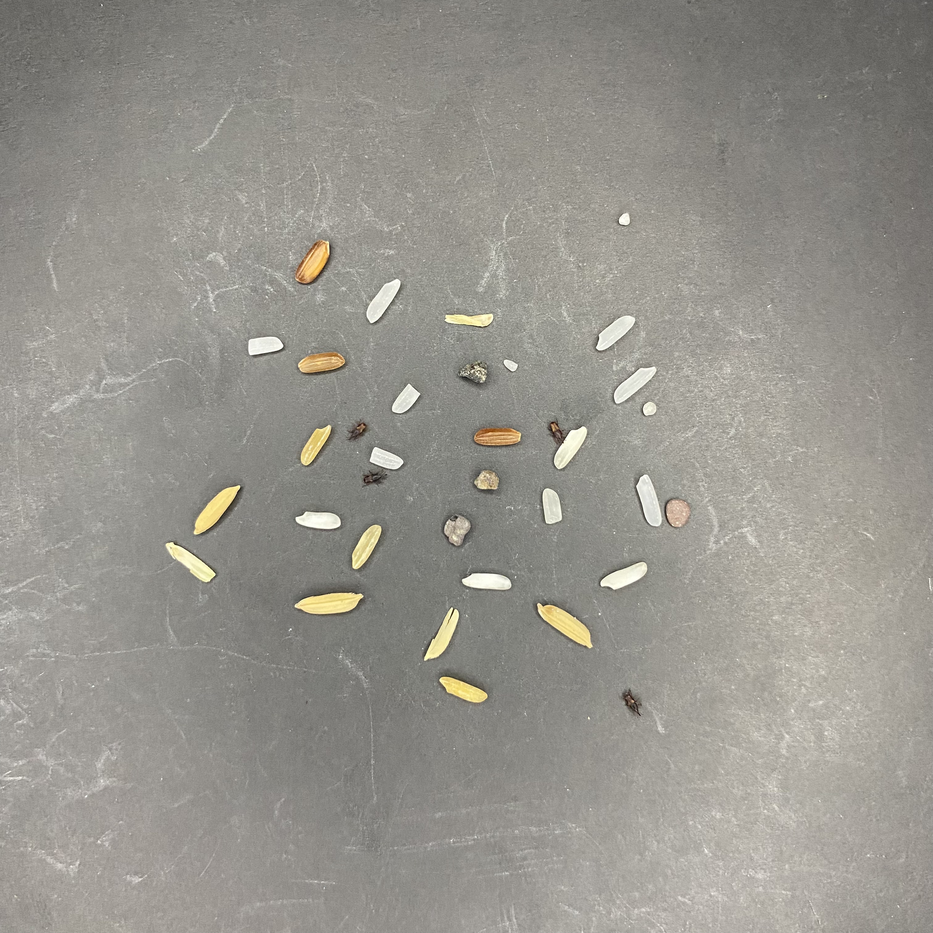 rice quality Object Detection Dataset by Datasetproject