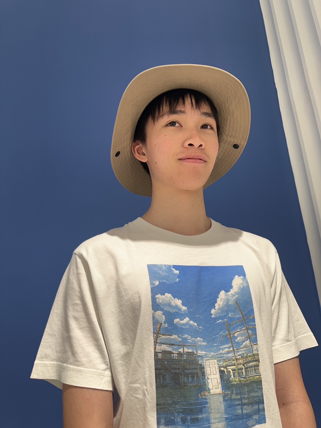 hat Object Detection Dataset by testws
