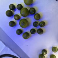 lime size detection project thumbnail