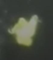 Nylon Detection project thumbnail