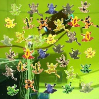 Dataset Image