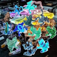Dataset Image