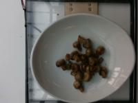 plate-seg project thumbnail