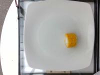 plate project thumbnail