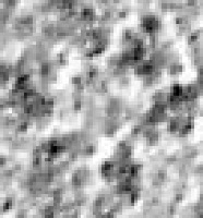 Siri-LobeSegmentation project thumbnail