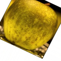 KLTN_1 project thumbnail