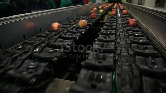 Apple Model Check Apple Object Detection Model (v1, 2024-01-03 4:53pm) by my project
