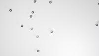 nuts_bolts project thumbnail
