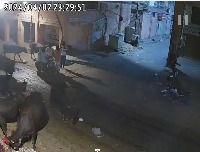 Dataset Image