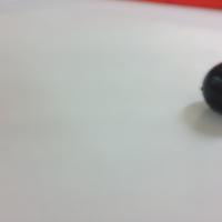 another yolo thing project thumbnail