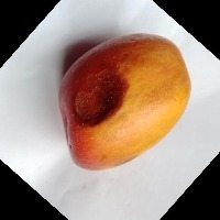 rotten apple detection Object Detection Model by apple