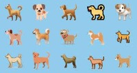 Cat and Dog project thumbnail