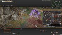 bd project thumbnail