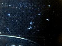 microscope_handpicked project thumbnail