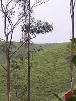 Elephant and Gaur project thumbnail