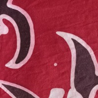 Transfer Learning Batik project thumbnail