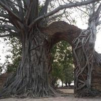 Wat Phar Ngarm project thumbnail