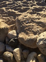 Waste detection project thumbnail