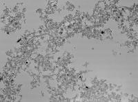 Microbes project thumbnail