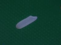 belt green project thumbnail