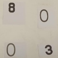Dataset Image