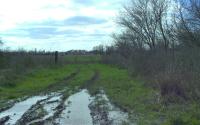 Unstructured project thumbnail