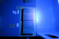 Find numbers and woods 5 project thumbnail