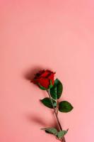flowers project thumbnail