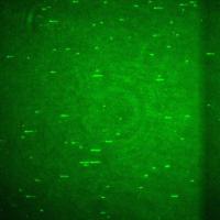 actin detection project thumbnail