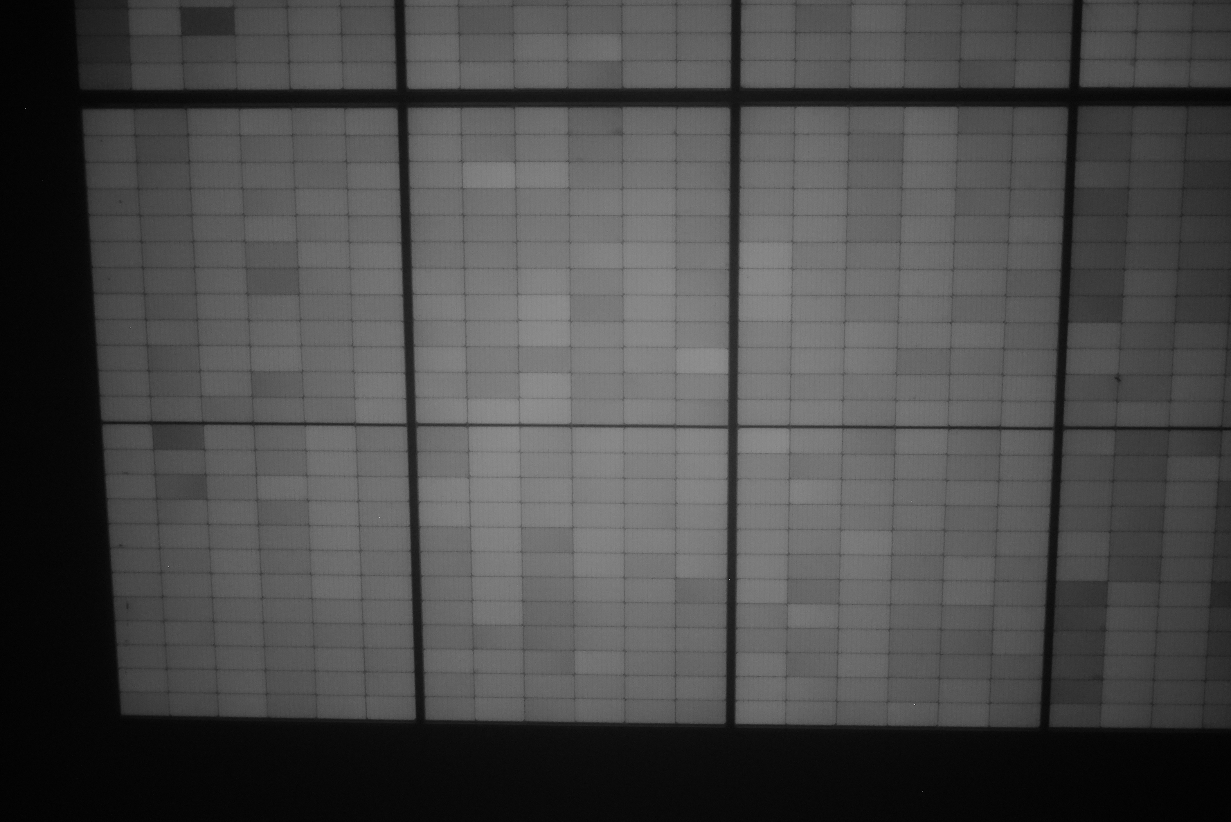Instance Seg Instance Segmentation Model by TEST