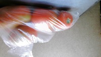 tomate_lateral project thumbnail