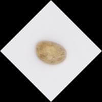 coffee beans dataset 2 (segmentation) project thumbnail