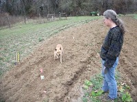 Stray Dogs Detection project thumbnail