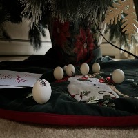 Ping Pong ball detection project thumbnail